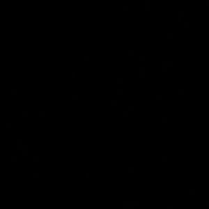 Meet your Posher, Jae